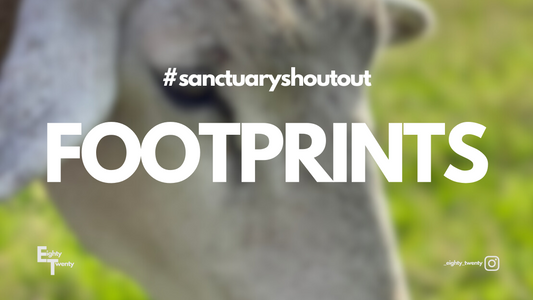 #sanctuaryshoutout: Footprints
